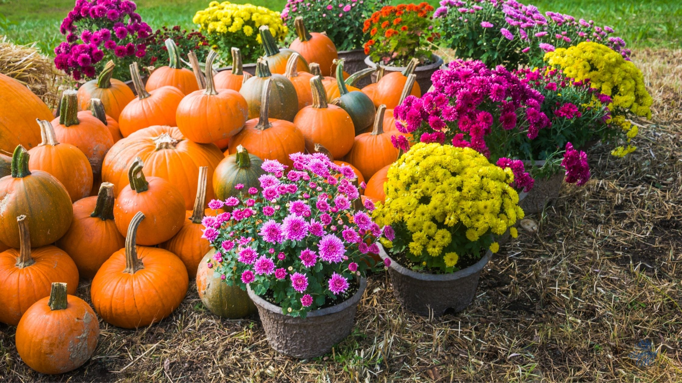 40+ Fall Fun Things to Do Near Charlotte NC in September