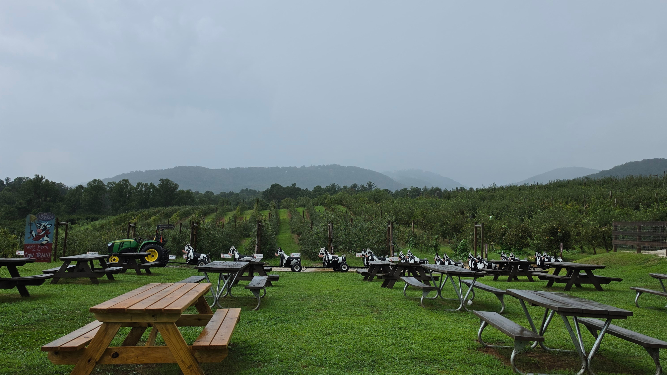 20 Farms for Fall Fun Near Charlotte, NC